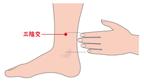 本日のツボ紹介｜三陰交（さんいんこう）｜札幌市西区二十四軒のてて整骨院二十四軒店